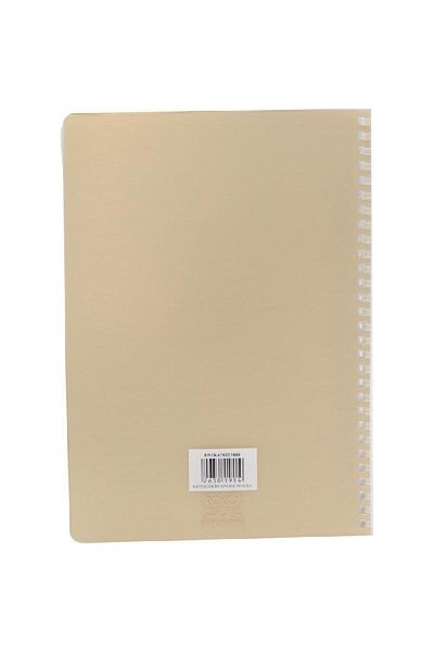 Roco Notebook – B5, 160 Pages, Lined, Plain Gold Cover