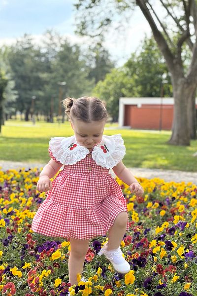 ALYRA Baby Girl Red Dress Cherry Gingham Birthday Party Wedding Special Occasion Daily Girl's Dress