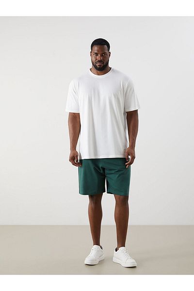 LC Waikiki Standard Fit Men's Shorts