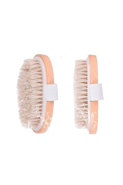 AC BOX 100% Natural Horsehair Cellulite Brush (oval) Providing a Shiny and Smooth Look