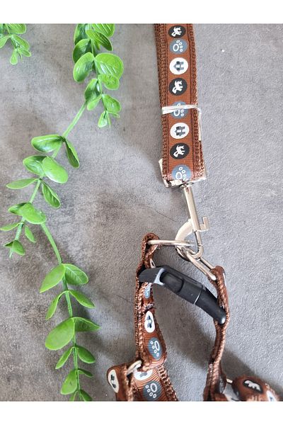 Pet Aksesuar Dog Chest Harness and Walking Leash Set 2 In1,2 Cm.Mixed Designs