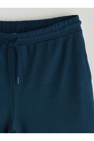 LC Waikiki Ανδρικό σορτς Standard Fit