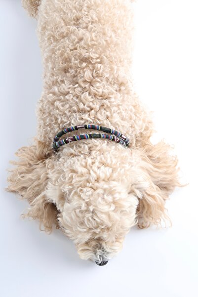 Winla Paws Evcil Hayvan Kedi Köpek Halka Uçlu Renkli El Yapımı Boyun Tasma