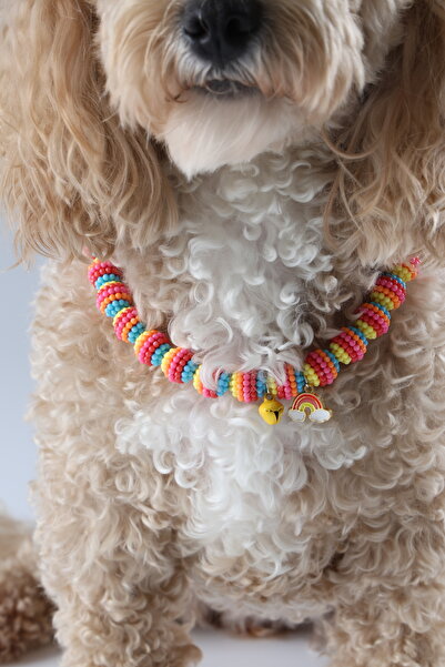 Winla Paws Evcil Hayvan Kedi Köpek Tasma Ucu Süs Renkli Sevimli Charm