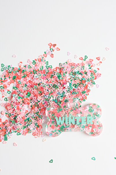 Winla Paws Evcil Hayvan Kedi Köpek Özel İsimli Renkli Künye Tasma İsimlik Köpek Kedi İsimliği