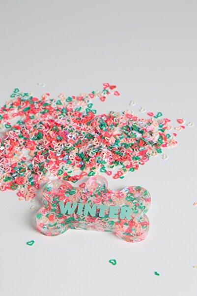 Winla Paws Evcil Hayvan Kedi Köpek Özel İsimli Renkli Künye Tasma İsimlik Köpek Kedi İsimliği