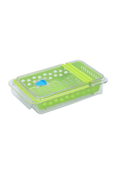 Generic Felli Dew Fresh Herb and Produce Storage Container Green and Clear