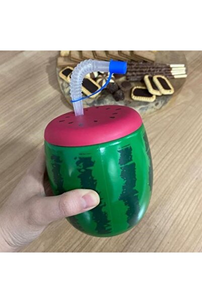 CT STONES Ct-Stones ®   Watermelon Model Water Bottle with Straw, 900 Ml, Flask
