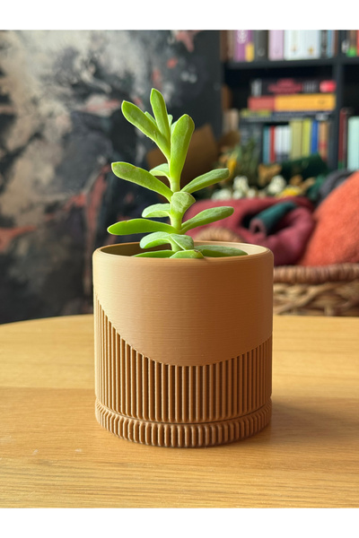 DECOROMA Dekoratif Küçük Boy Sukulent Saksı