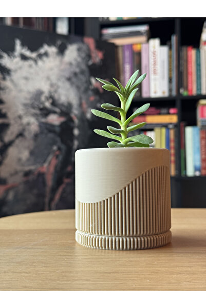 DECOROMA Dekoratif Küçük Boy Sukulent Saksı