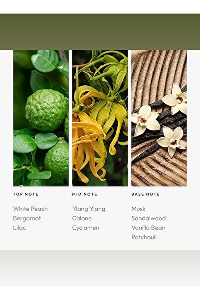 Aroma360 زيت معطر جو سموث أوبيريتور - زهر الليلك، خشب الصندل، والباتشولي - 50 مل، 1.7 أونصة سائلة