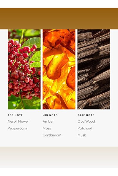 Aroma360 زيت ناشر برو بود أرجواني - زهرة النيرولي، الفلفل الأسود، الهيل والباتشولي - 50 مل، 1.7 أونصة سائلة