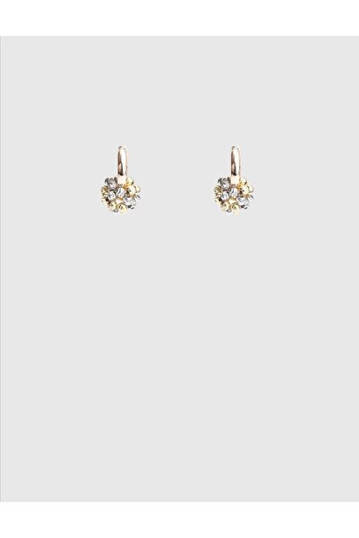 İLVİ Saranda Altın Renk Kadın Küpe