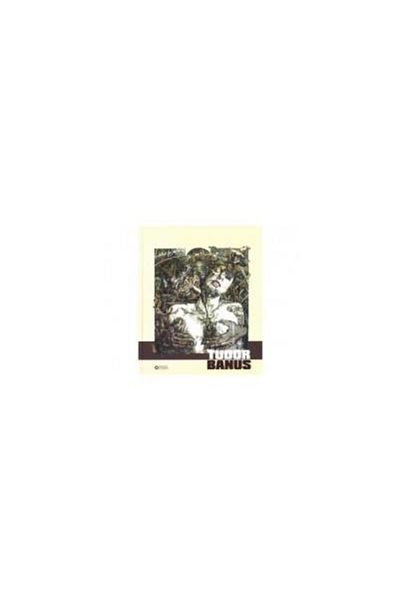 Editura Institutul Cultural Roman Bear Park / album, Tudor Banus