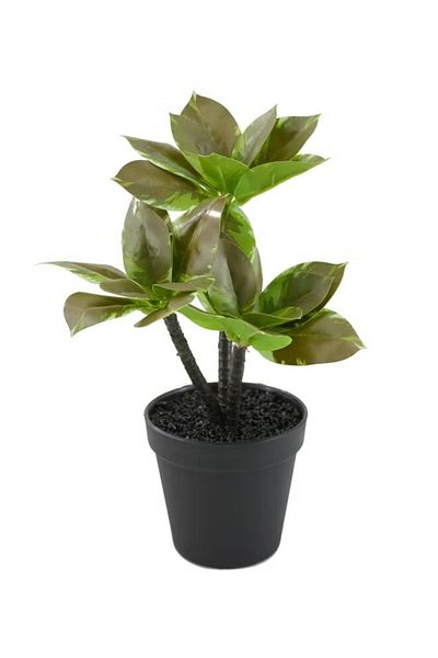 DRAMA HOME Artificial plant for home decoration 30cm