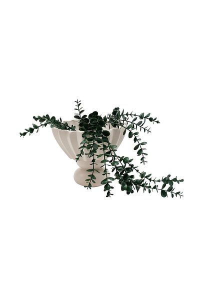 Bellona Boheems Standard Decorative Accessory for Plates/Pots