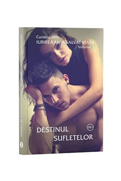 Editura Stylished Iubirea mi-a salvat viata. Volumul 3: Destinul sufletelor, ...