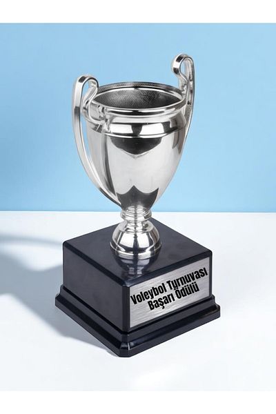 lili hediyelik Volleyball Tournament Achievement Award Championship Reward Trophy 23cm Tournament Gift