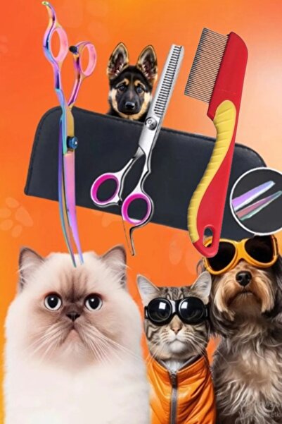 xolo 7 İnç Bit Taraklı 4 Parça Deri Çantalı Evcil Hayvan Özel Tıraş Seti Kavisli Makas Ara Makas Tarak