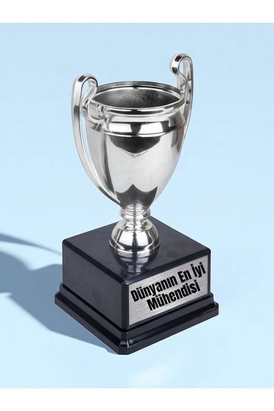 lili hediyelik World's Best Engineer Printed Engineer Award Achievement 23cm Championship Trophy Gift