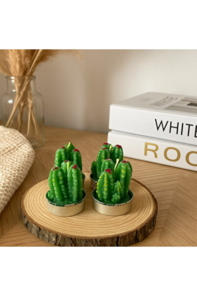 Moon Dizayn 4 adet dekoratif kaktüs mum