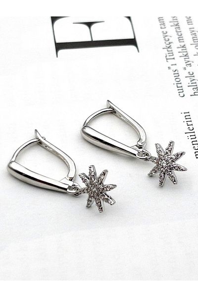 Siya Silver Zircon Stone Dangle Steel Star Earrings
