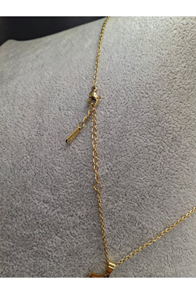 Han Ticarethane Altın Renk Tarot Kart Model Akrep Burcu Çelik Kolye