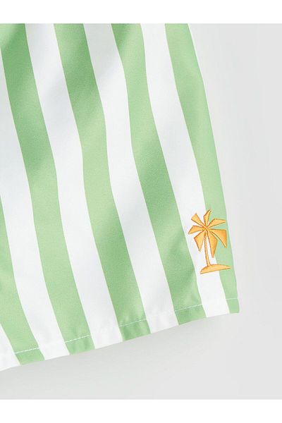 LC Waikiki Lcw Kids Buy Elasticated Striped Boys Swim Shorts