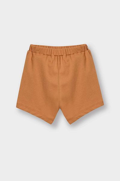 DeFacto Baby Boy 2-Piece Set Lion Printed Short Sleeve T-Shirt Flexible Waisted Shorts E1183A525Sm