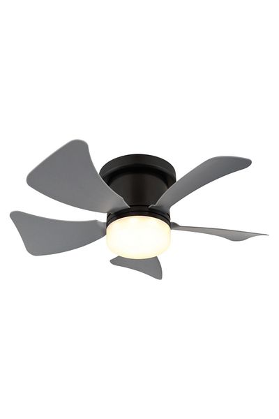 GLOBO LED ceiling light with fan, 10W, warm/neutral/cold light 3000-6500K, IP20, black, Globo, Globo