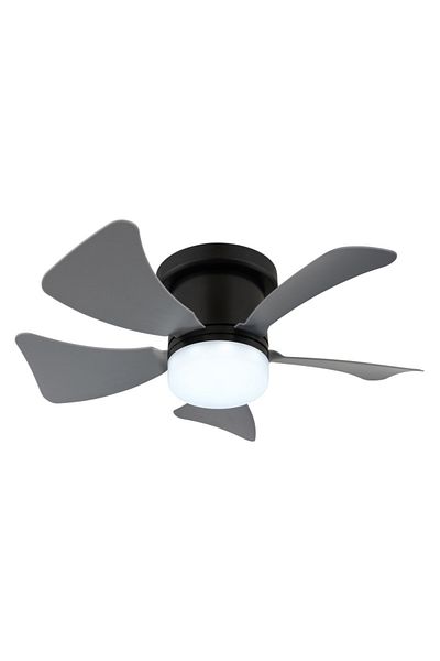 GLOBO LED ceiling light with fan, 10W, warm/neutral/cold light 3000-6500K, IP20, black, Globo, Globo