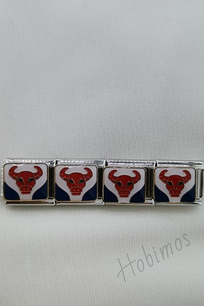 Hobimos 1 Piece Zodiac Steel Italian Bracelet Charm