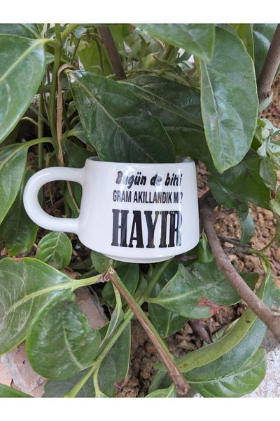 Home Coffee Cup "Today Too, Did We Get the Grams No"