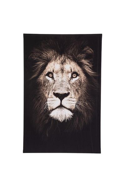 Generic atmosphera High Definition Animal Printed Canvas Frame Assorted Color 75 x 115cm 185916