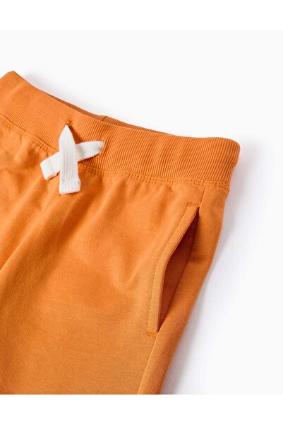 Ziddy Jogger Shorts for Boys, Orange