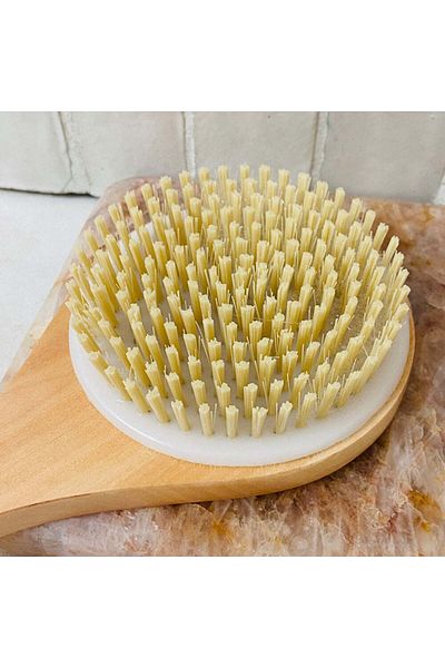 Cleanlogic Long Handle Bath Brush, Bath and Body, Cleanlogic