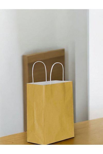 Happyland Gold Cardboard Bag Large Size Twist Handle 25 Pieces 31*12*41 cm