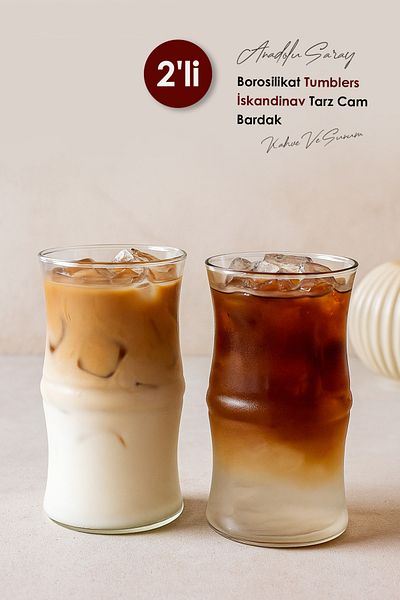 Anadolu Saray 2 Pcs Heat Resistant Borosilicate Tumblers Nordic Style Glass Cup Coffee Presentation Cup