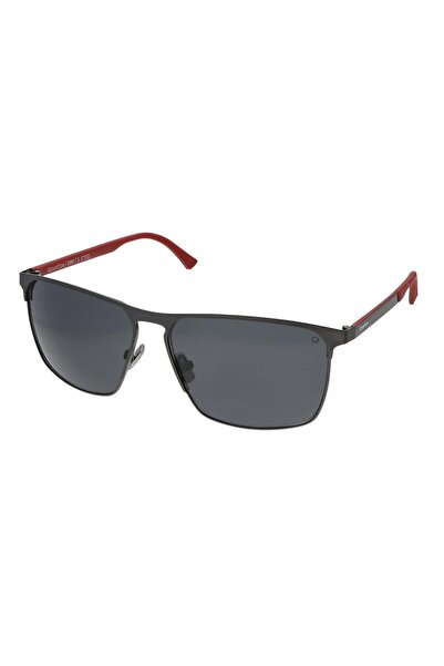 Quantum Q286 C2 g Sunglasses