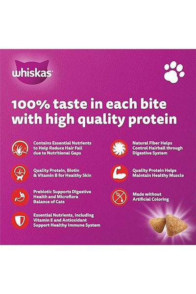 Whiskas Skin and Coat Chicken and Salmon Flavour Dry Cat Food - 1.1 kg