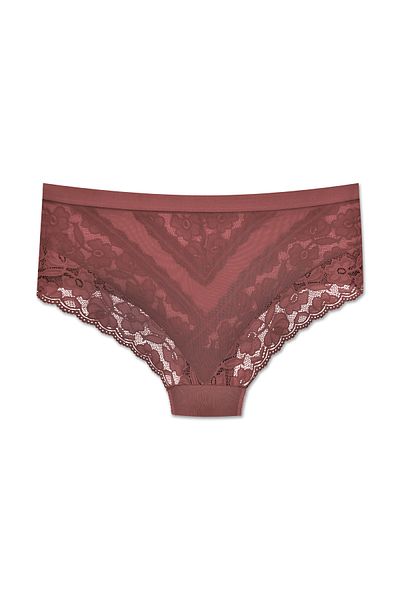 ZENA UNDERWEAR Lace Tulle Detailed Elastic High Waist Plus Size Women's Panties