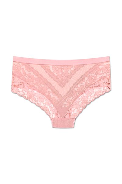 ZENA UNDERWEAR Lace Tulle Detailed Elastic High Waist Plus Size Women's Panties