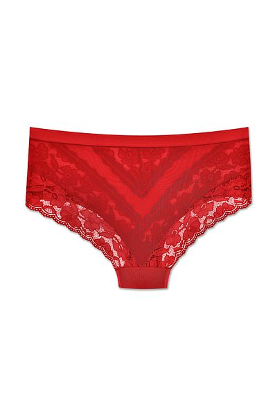 ZENA UNDERWEAR Lace Tulle Detailed Elastic High Waist Plus Size Women's Panties