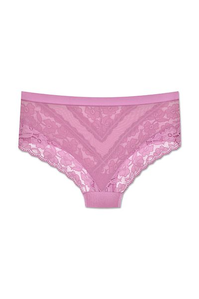 ZENA UNDERWEAR Lace Tulle Detailed Elastic High Waist Plus Size Women's Panties