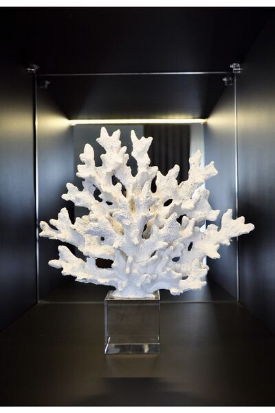 DEKORANLA Şeffaf Kristal Mercan Dekoratif Aksesuar, Şık ve Zarif Ev Süsleme P...