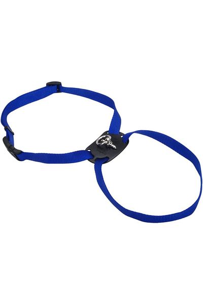 Coastal 3/4in Size Right Pet Fashion Medium Blue