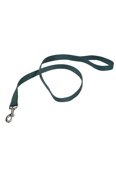 Coastal 1in Size Right Pet Fashion Large Blue