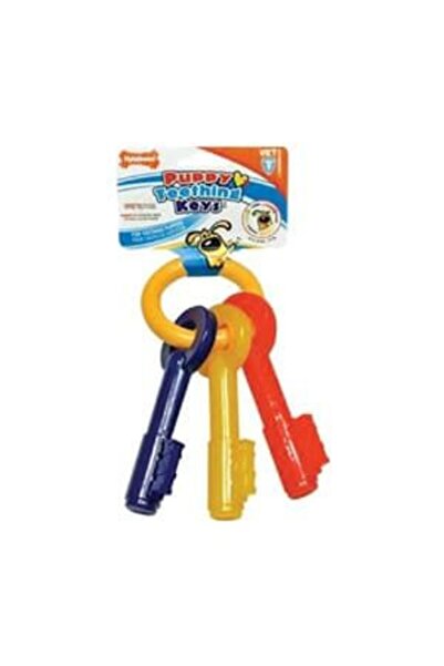 Nylabone مفاتيح مضغ التسنين للجراء، مضغ نايلون عادي بنكهة لحم الخنزير المقدد