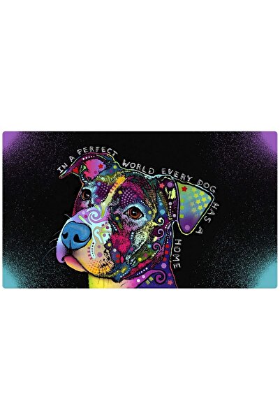 Drymate حصائر للكلاب في عالم مثالي 16 × 28 بوصة / 40 × 71 سم