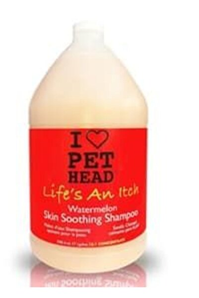 Pet Head شامبو لايفز آن إيتش 128 أونصة